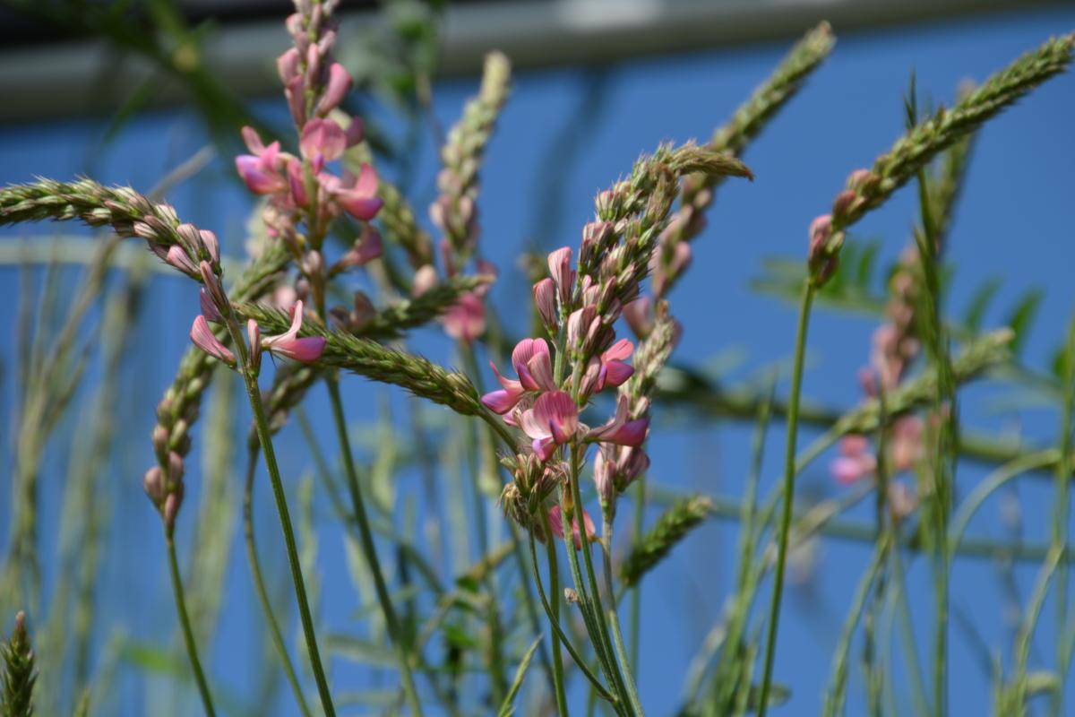 Eppaner Burgenrunde 23.05.2019